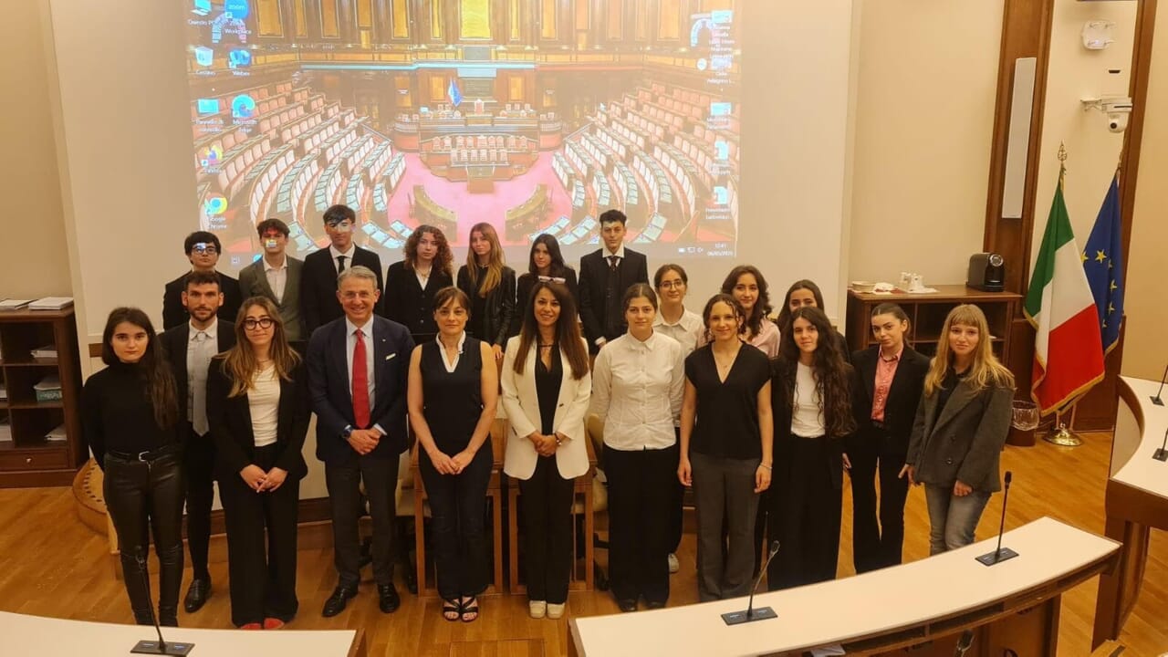 Istituzioni e Senato